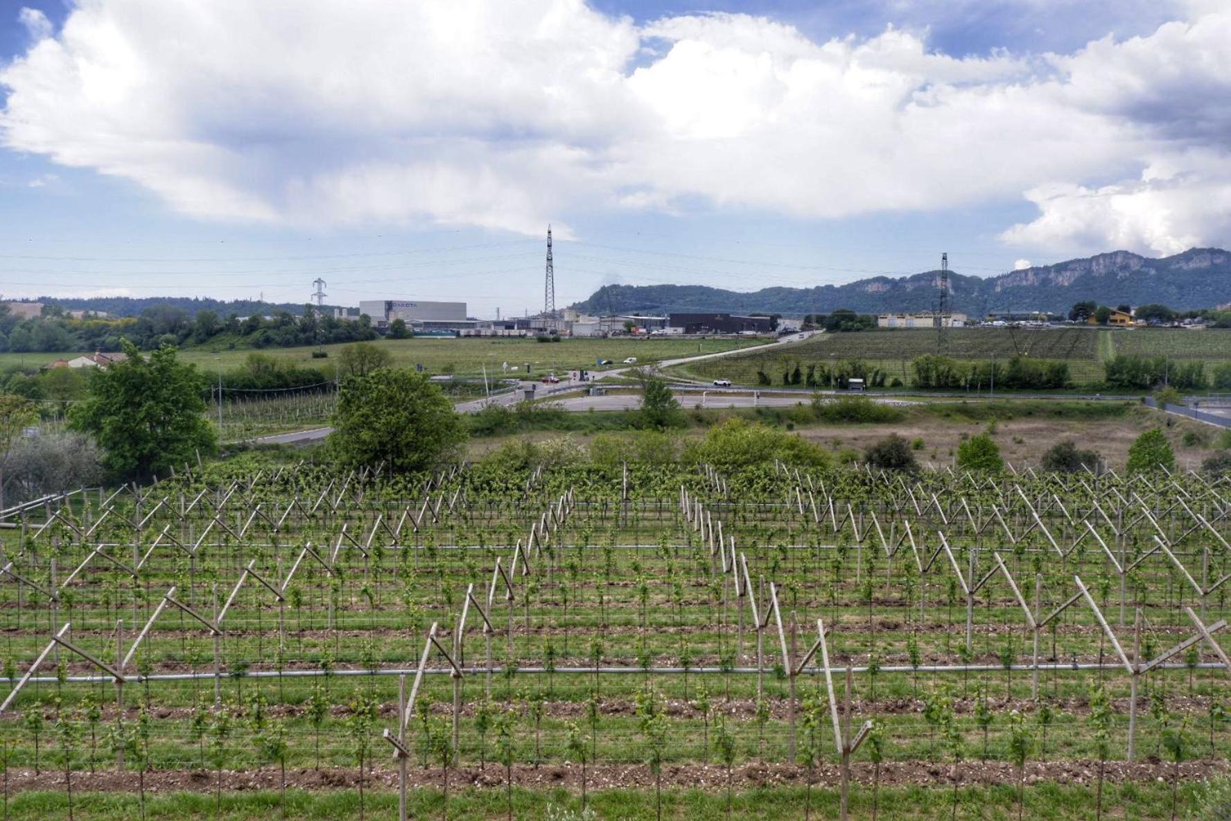 L'Edera Appartamento Rivoli Veronese エクステリア 写真